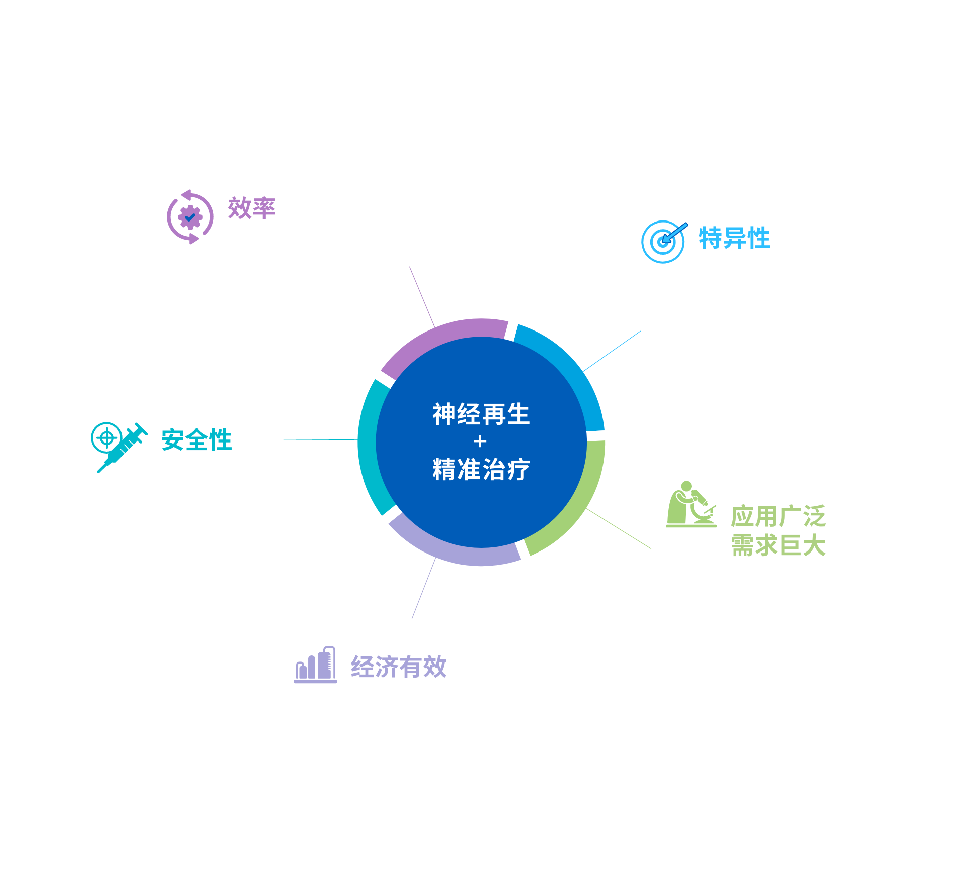 中枢神经系统<br>原位神经再生