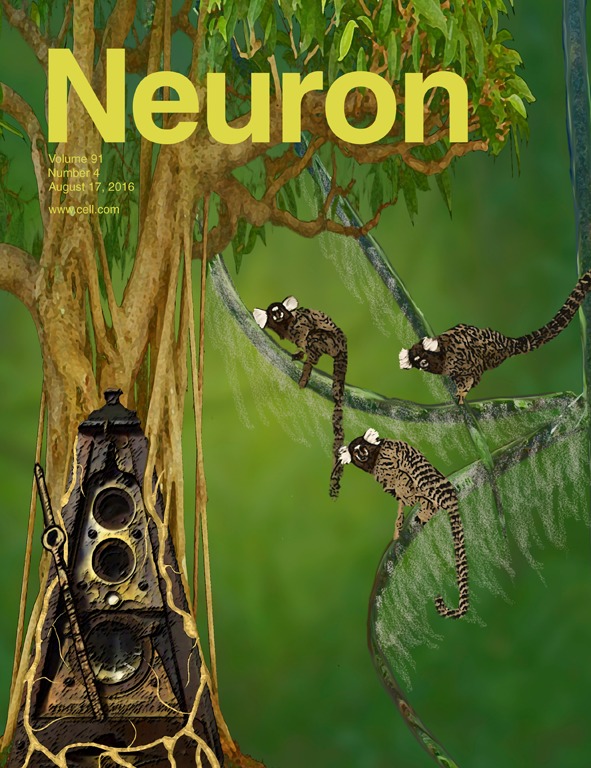 Neuron. 2016 Aug 17;91(4):728-738. doi: 10.1016/j.neuron.2016.08.004.